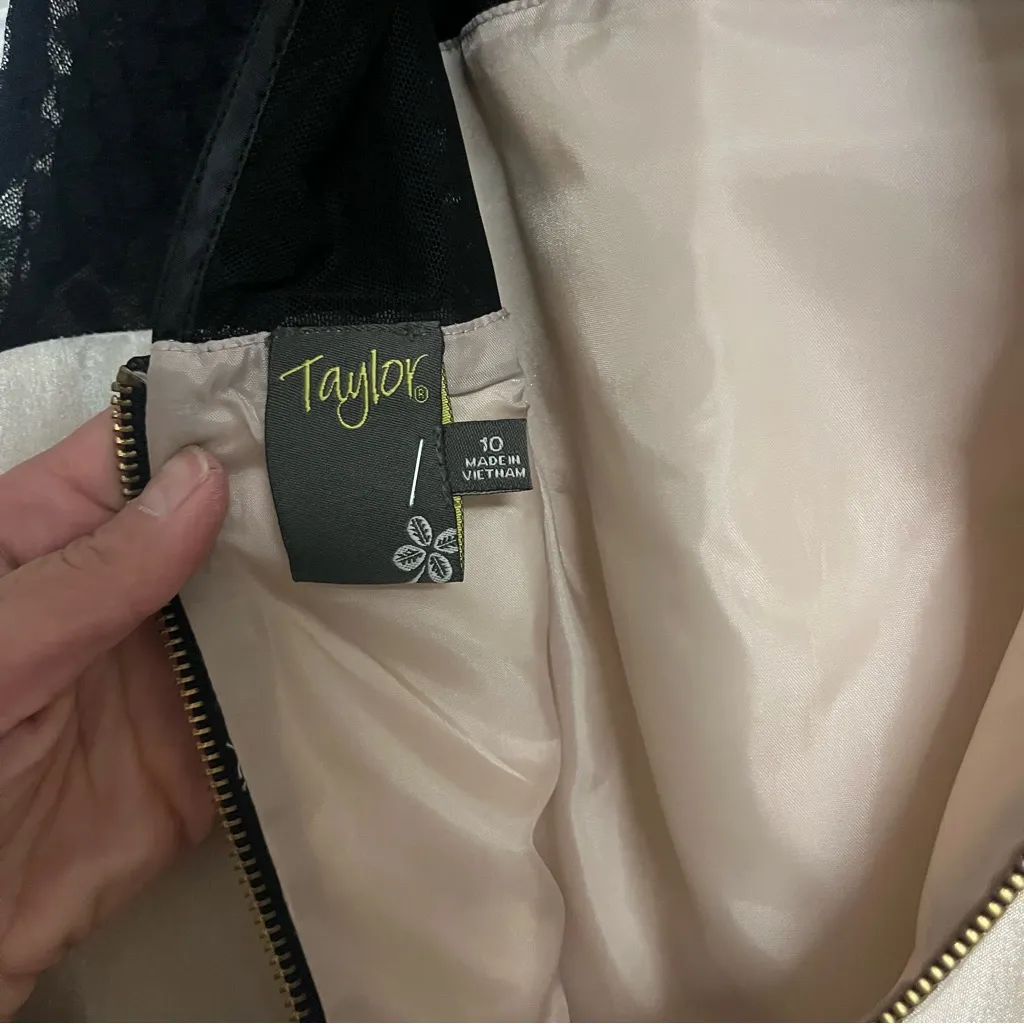 Taylor Dress with Polka Dots and Mesh Top - Image 3