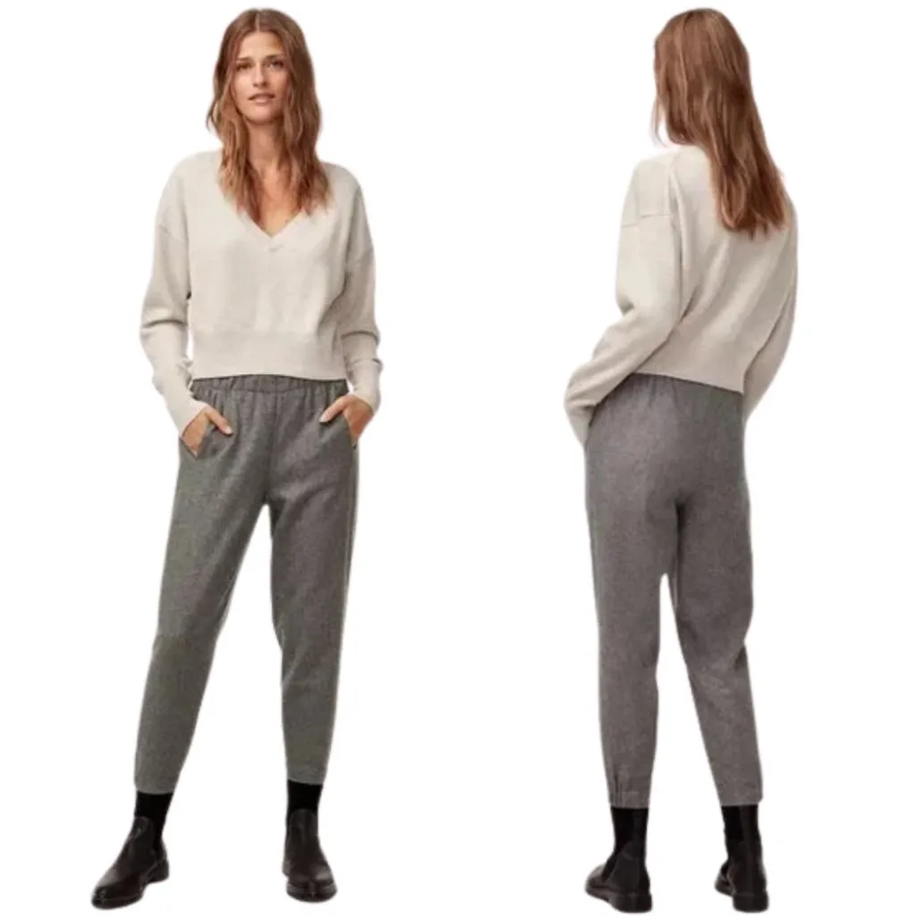 Aritzia Babaton Dexter Wool Cropped Trouser Dress Pants Women's XS Gray NWOT - Image 2