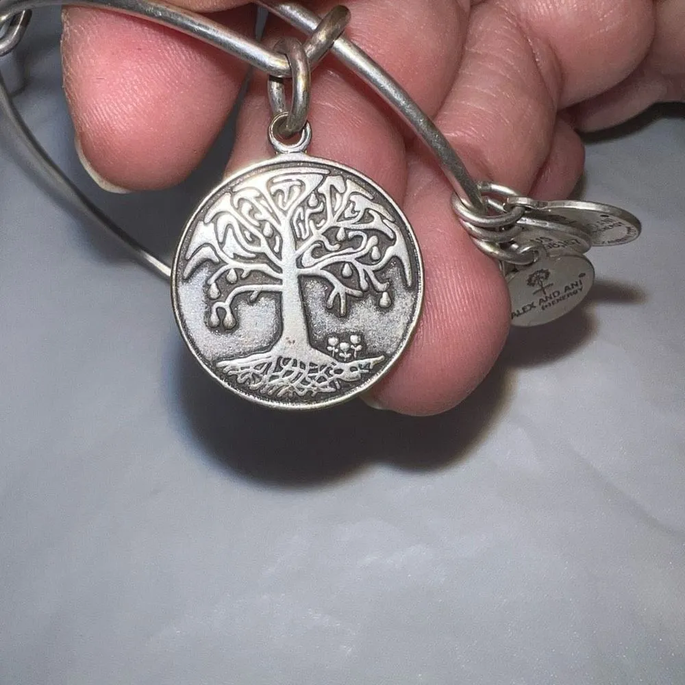 Alex‎ And Ani Boston Tree Of Life Bracelet With Charm Rafaelian Silver - Image 4