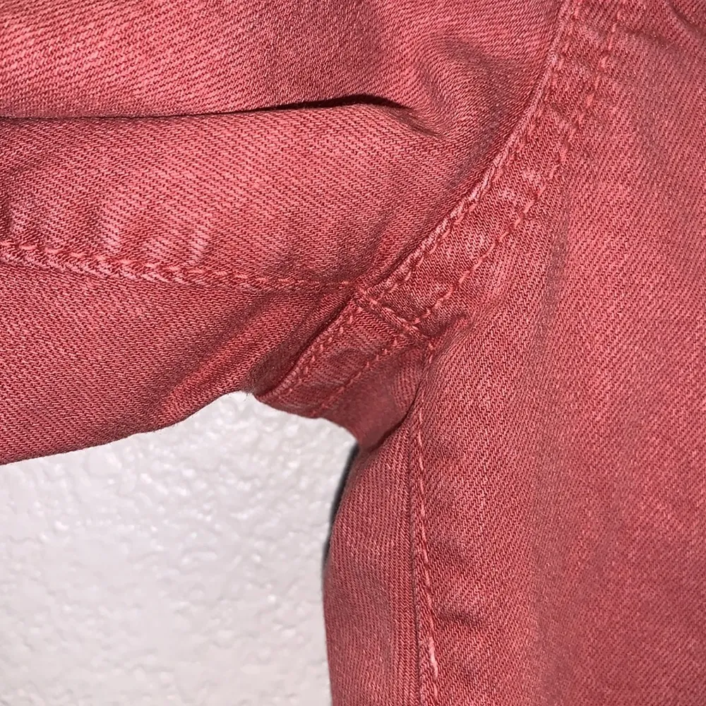 Flying Monkey rust color skinny jeans - Image 4