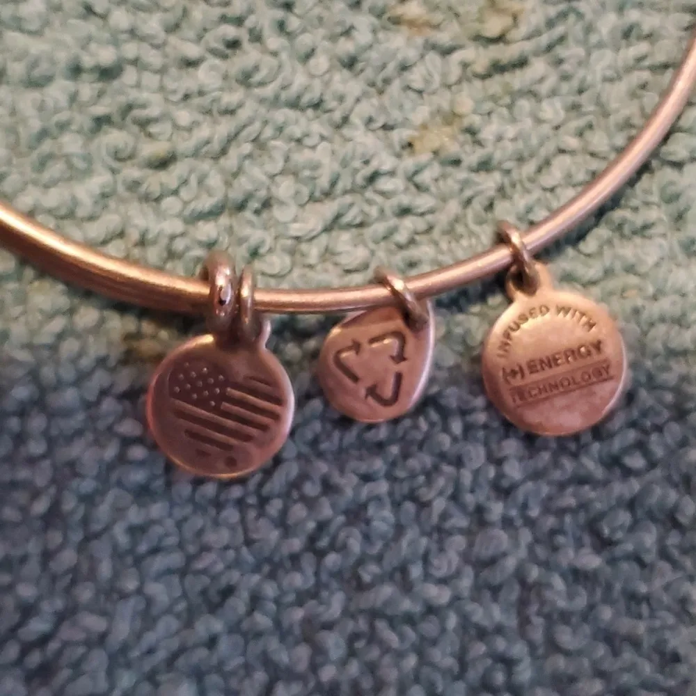Alex & Ani Bangle Bracelet - Image 3