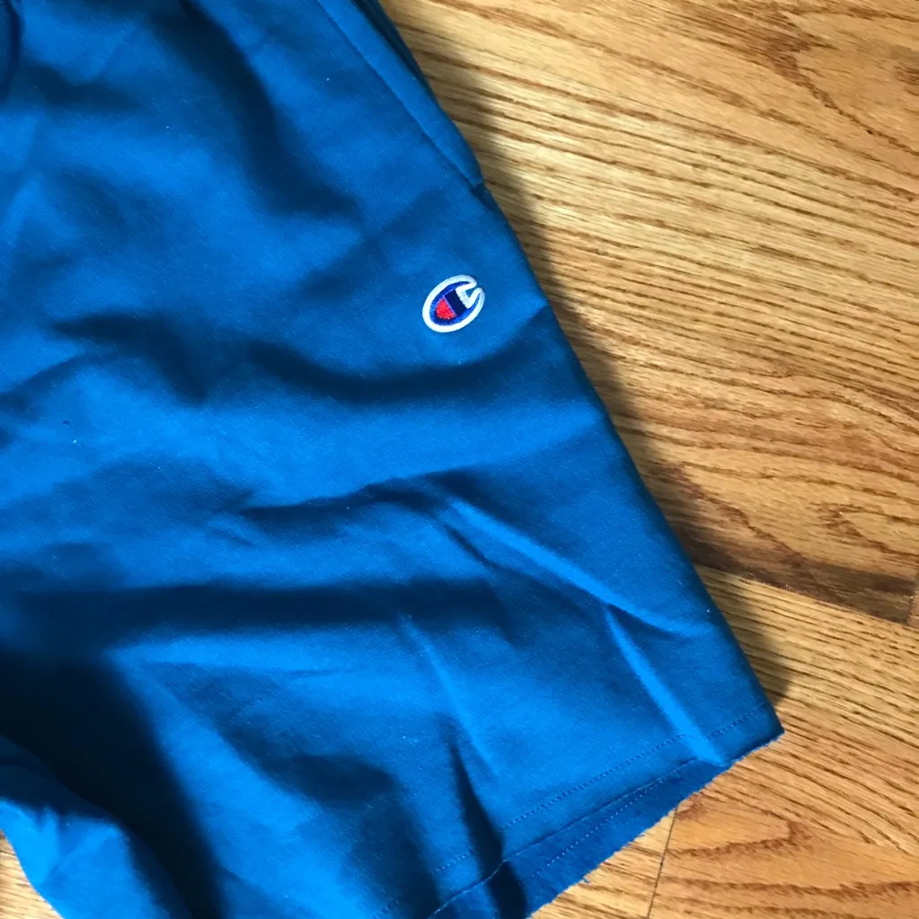 Champion Teal Blue Athletic Shorts - Image 2