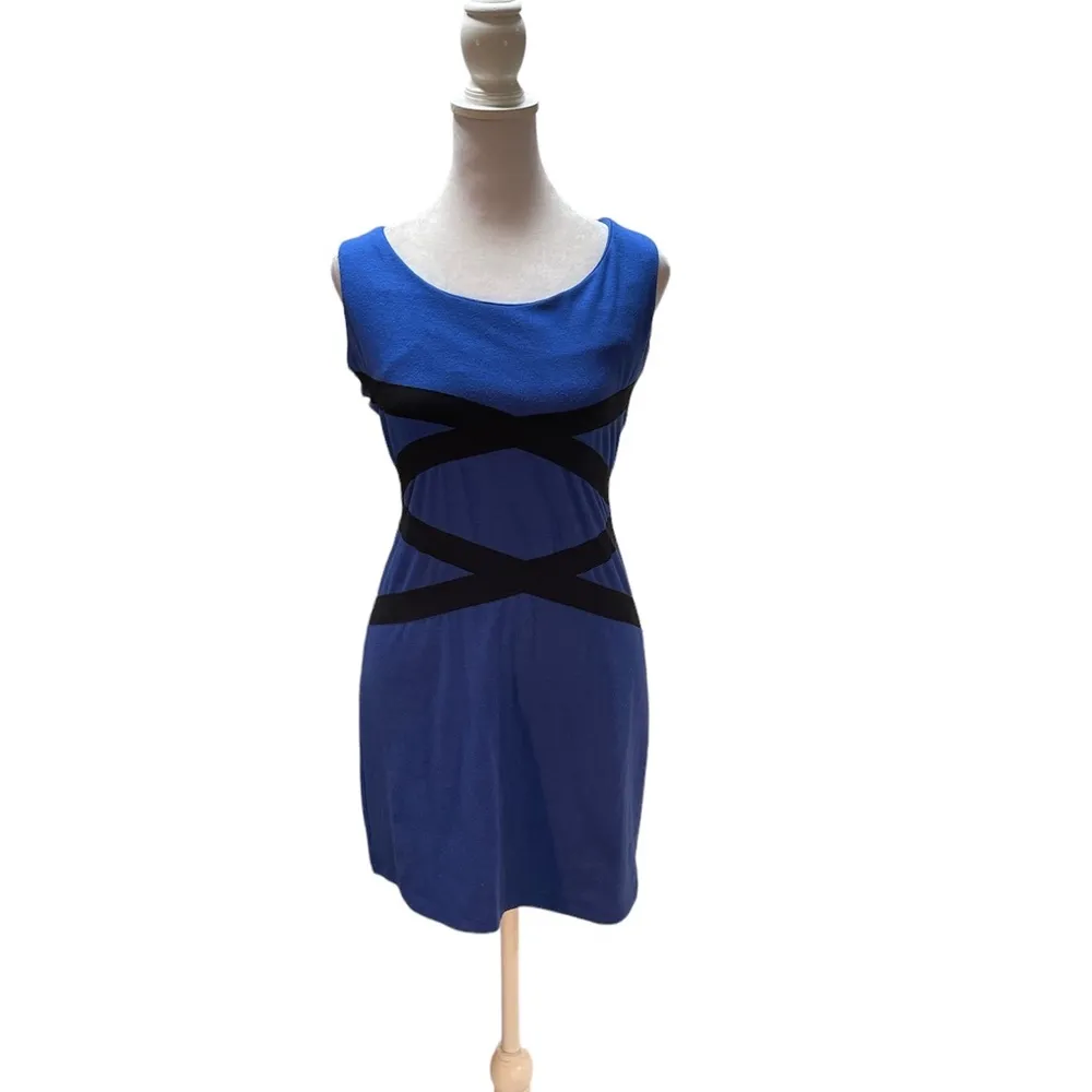 Blue with Black Crossed Stripes Sleeveless Zip Back Dress Small - Image 4