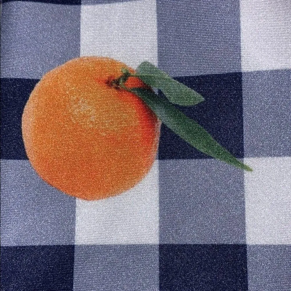 𝅺nwt Goldsheep citrus gingham leggings sz xs Blue - Image 8