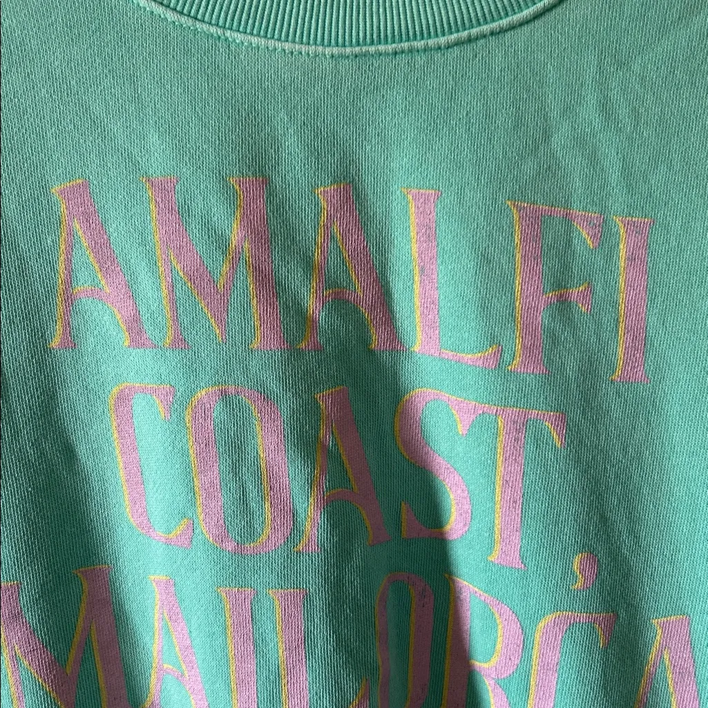 Z SUPPLY Womens‎ Sunday Destination Sweatshirt in Cabana Green Size Med - Image 5