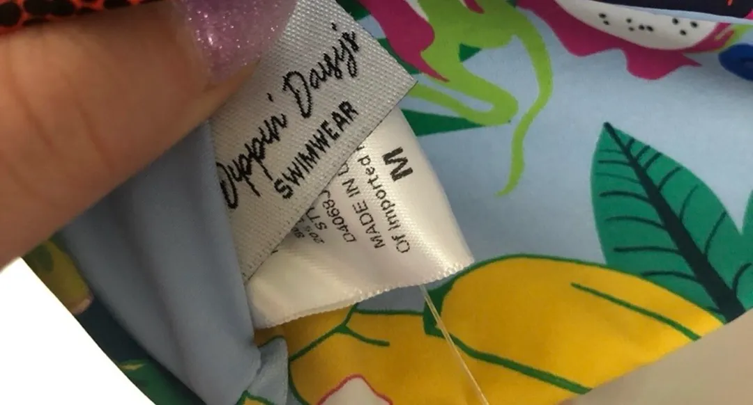 Windsor Dippin’ Daisey’s Bikini Top - Image 4