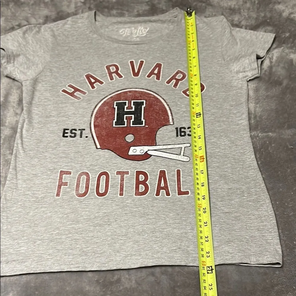 Gray Harvard Football Tee - Image 4