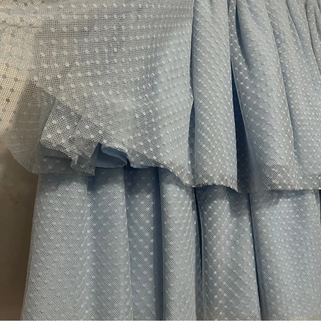 Hill House The Clara Tulle Tiered Dotted Mini Skirt Powder Blue Small :Box 0013: - Image 4
