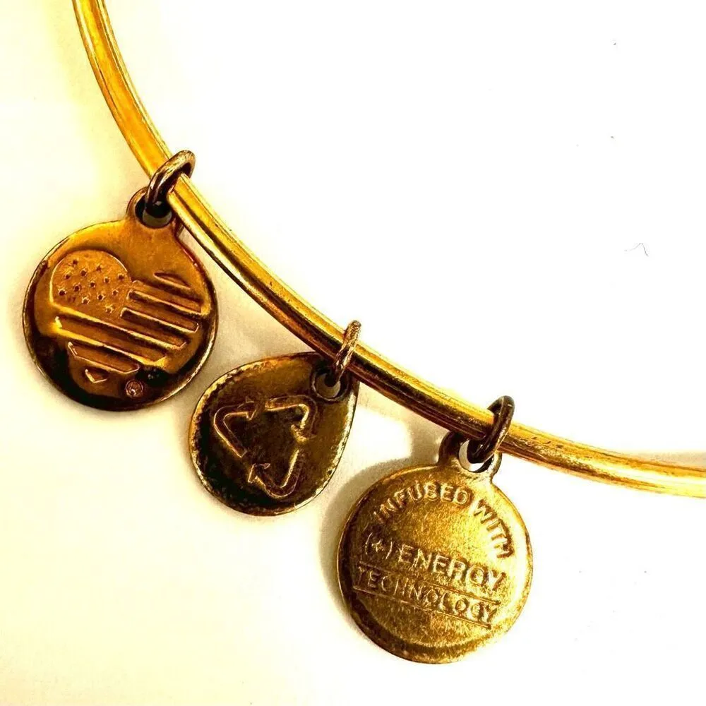 Alex and Ani 2015 Four lotus peace petals Bangle Bracelet - Image 7