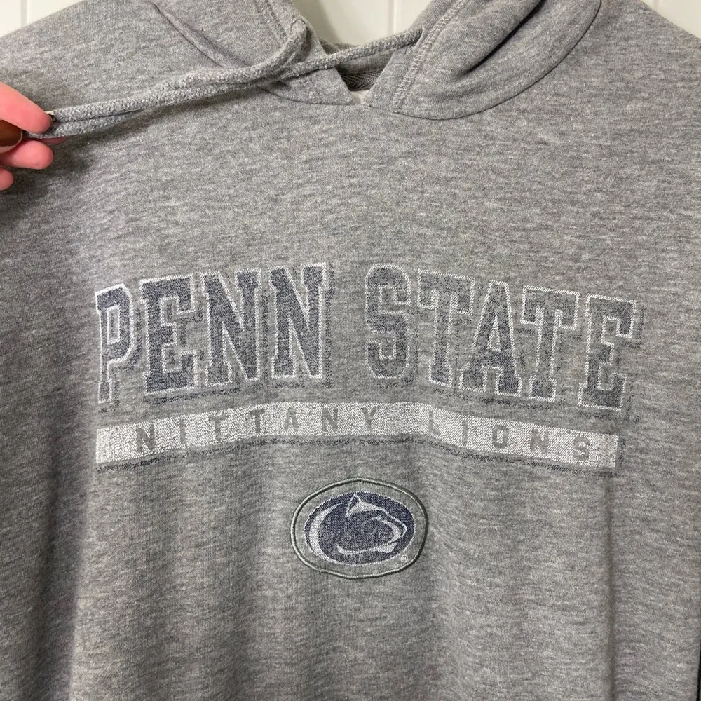 Champion Adult medium gray Penn state nittany Lions pullover hoodie sweatshirt M - Image 2
