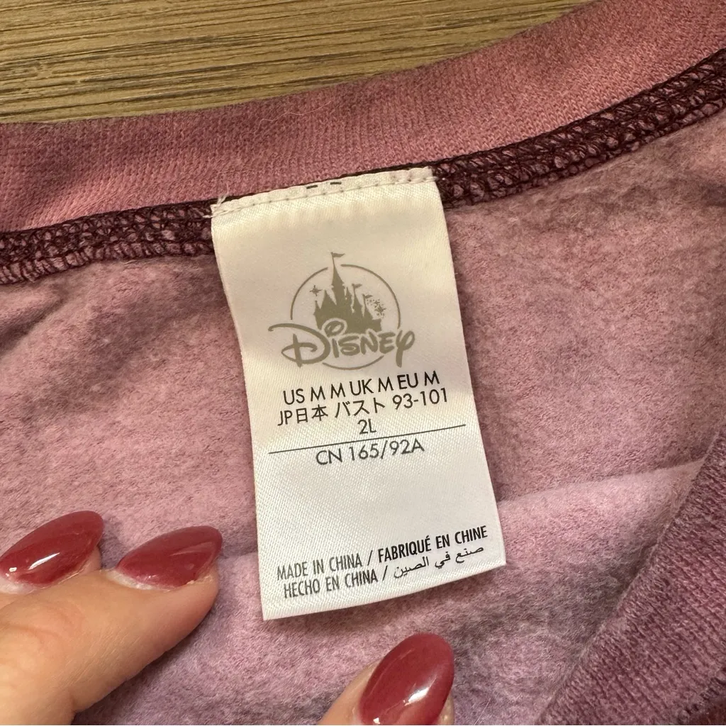 Disney Mickey‎ Mouse Disneyland Sweatshirt (M) - Image 4