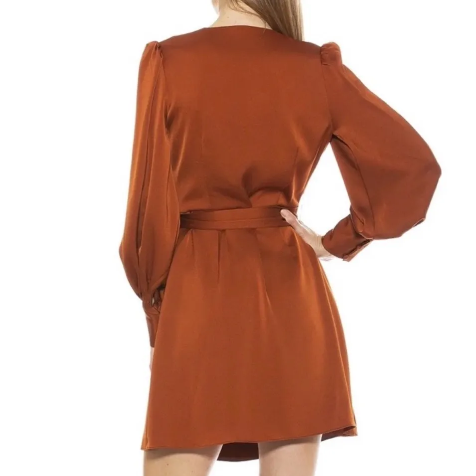 Alexia Admor Burnt Orange Long Sleeve Dress - Image 6