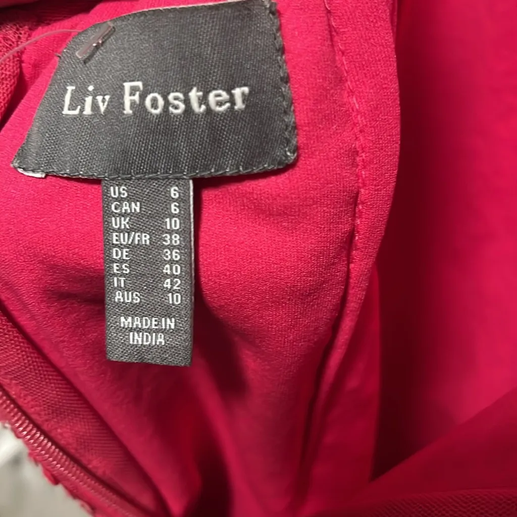 LIV FOSTER V - Image 10