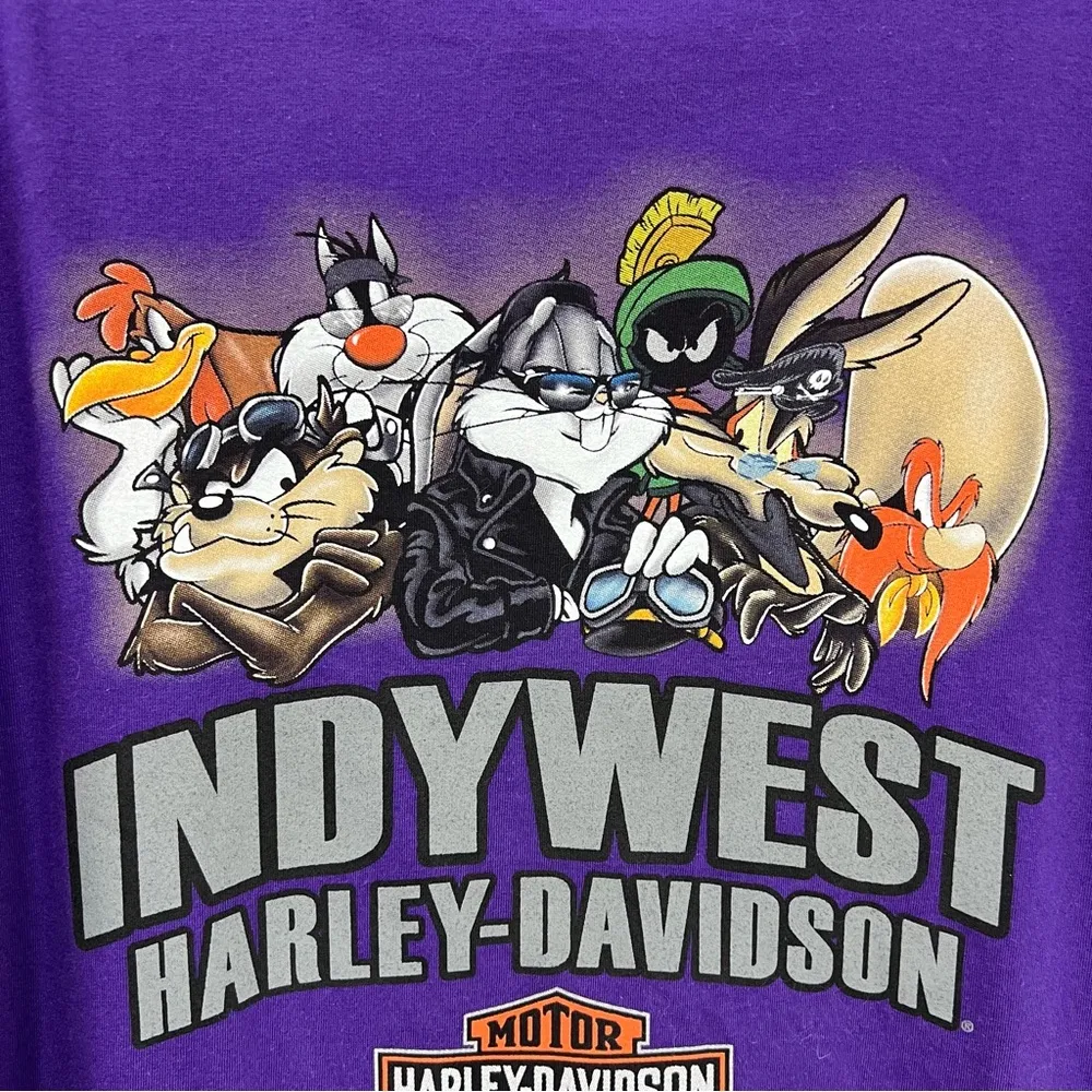 Harley Davidson xl purple tweety bird v neck shirt 2015 Indywest looney tunes - Image 11