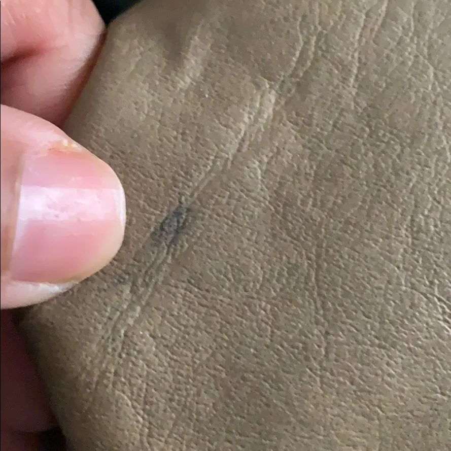 Vintage Pocketbook Tan - Image 6