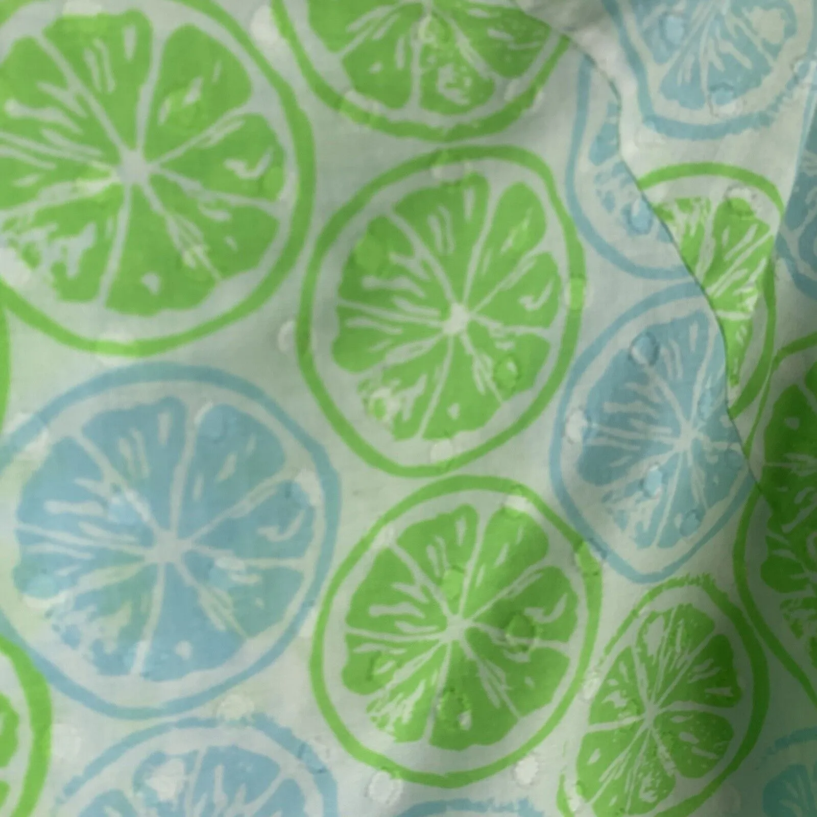 Vineyard Vines Size S Tunic Top Lemon & Limes Long Sleeve Split V-neck Shirt - Image 4