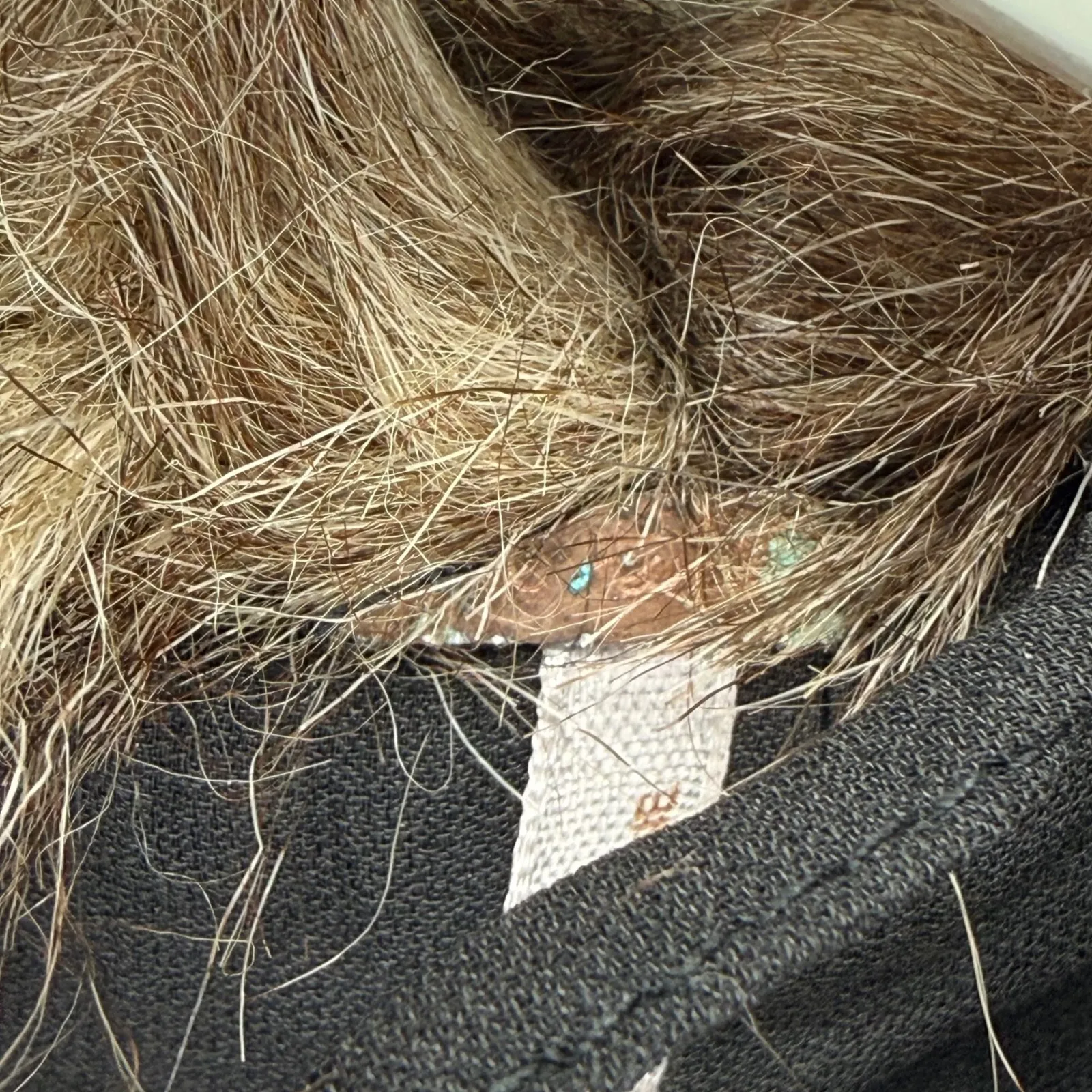 Free People Faux Fur Vest Black Brown Multi Color Size 6 NWOT - Image 2