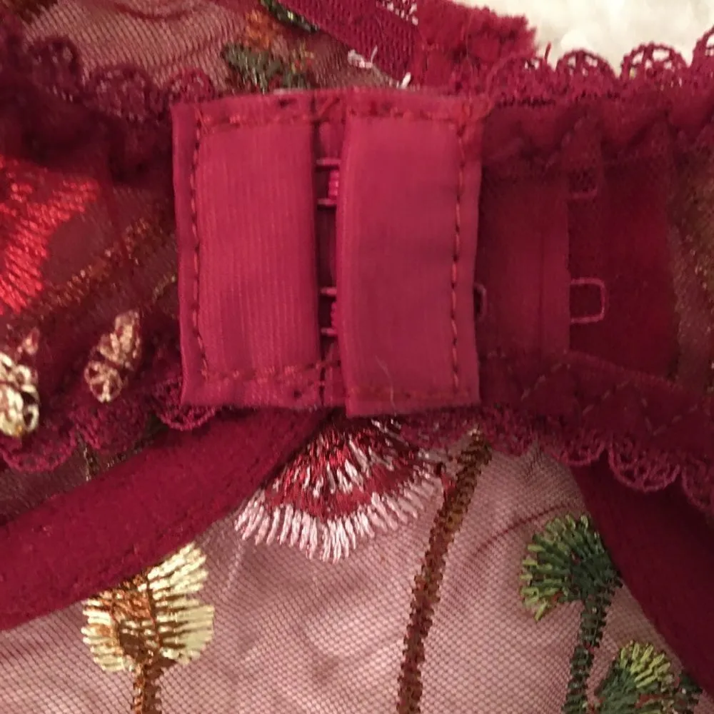 NEW IN PACKAGE! Wine velvet, sheer, embroidered, under wire body suit - Image 8