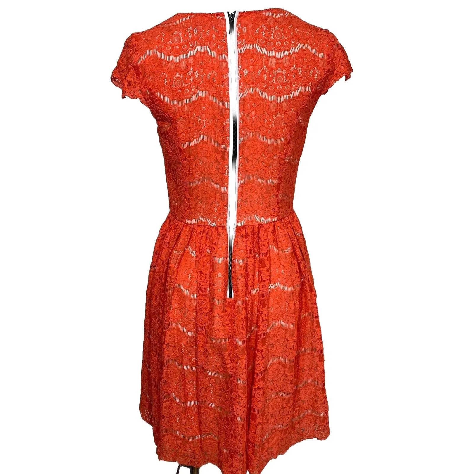 Kensie Orange Lace Fit & Flare Dress Size S Cap Sleeve Linen Feminine Party - Image 4