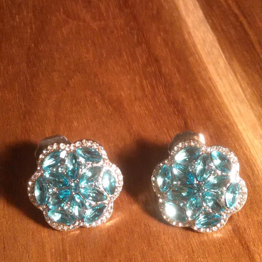 Sky Blue and White Austrian Crystal Silvertone Stud Earrings - Image 3