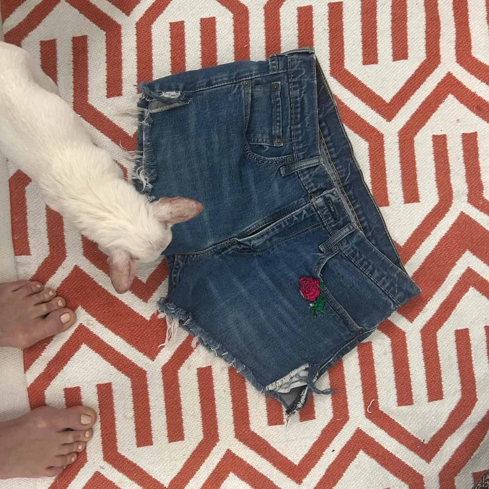 Levi Rose patch frayed cutoff 34 - Image 5