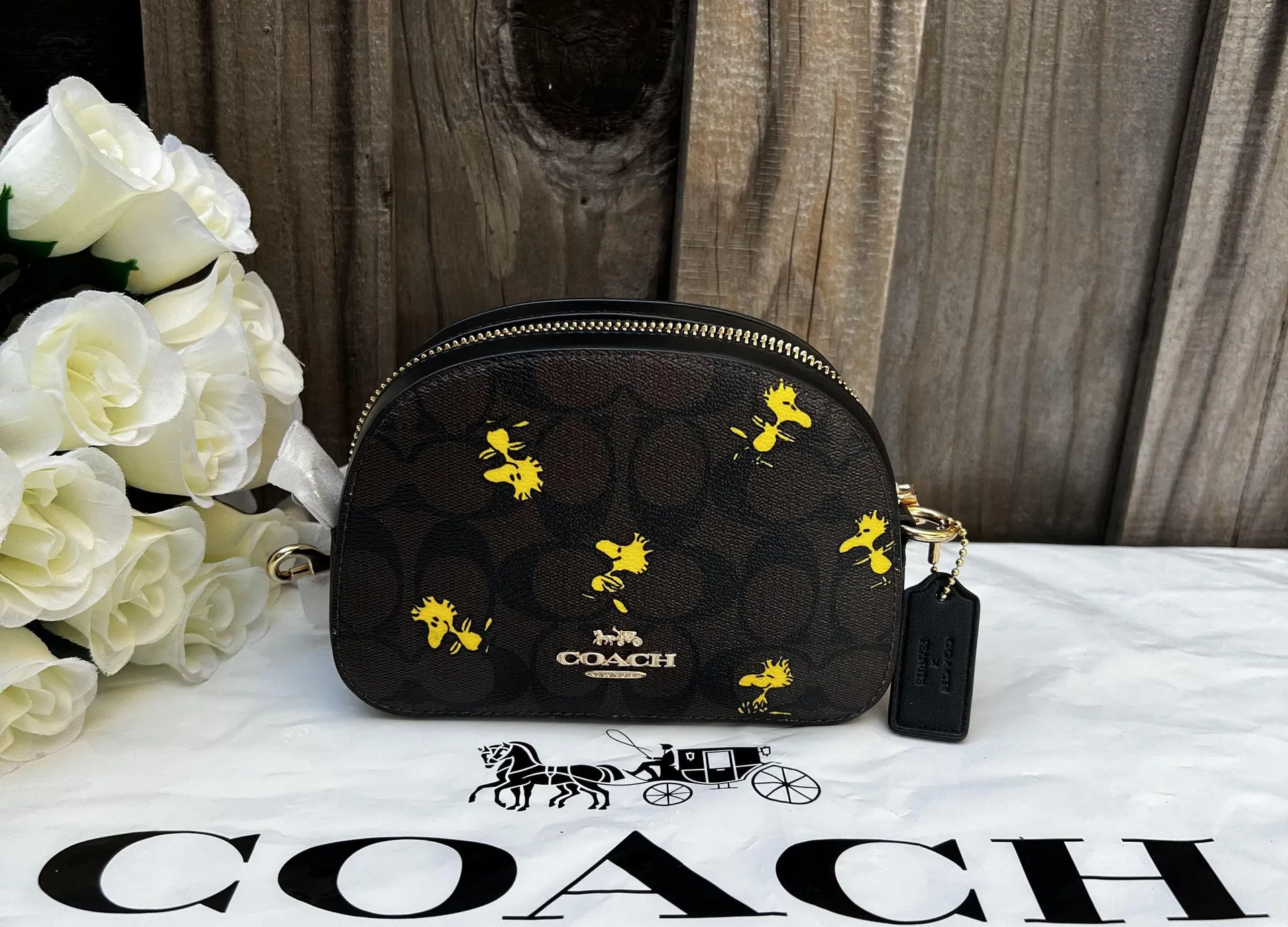 Coach X Peanuts Mini Serena Crossbody In Signature Canvas With Woodstock c4587 - Image 2