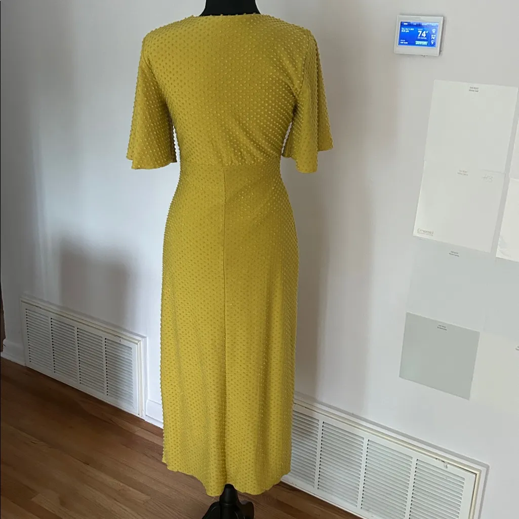 NWOT Revolve Tularosa chase short sleeve midi dress in pear with bow - Image 8