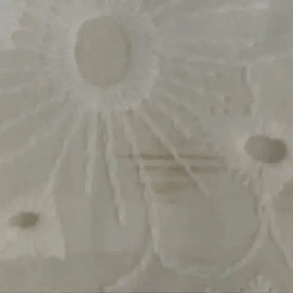 Cupcakes and Cashmere White Eyelet Embroidered Short Sleeves Floral Dress SZ 4 White - Image 6