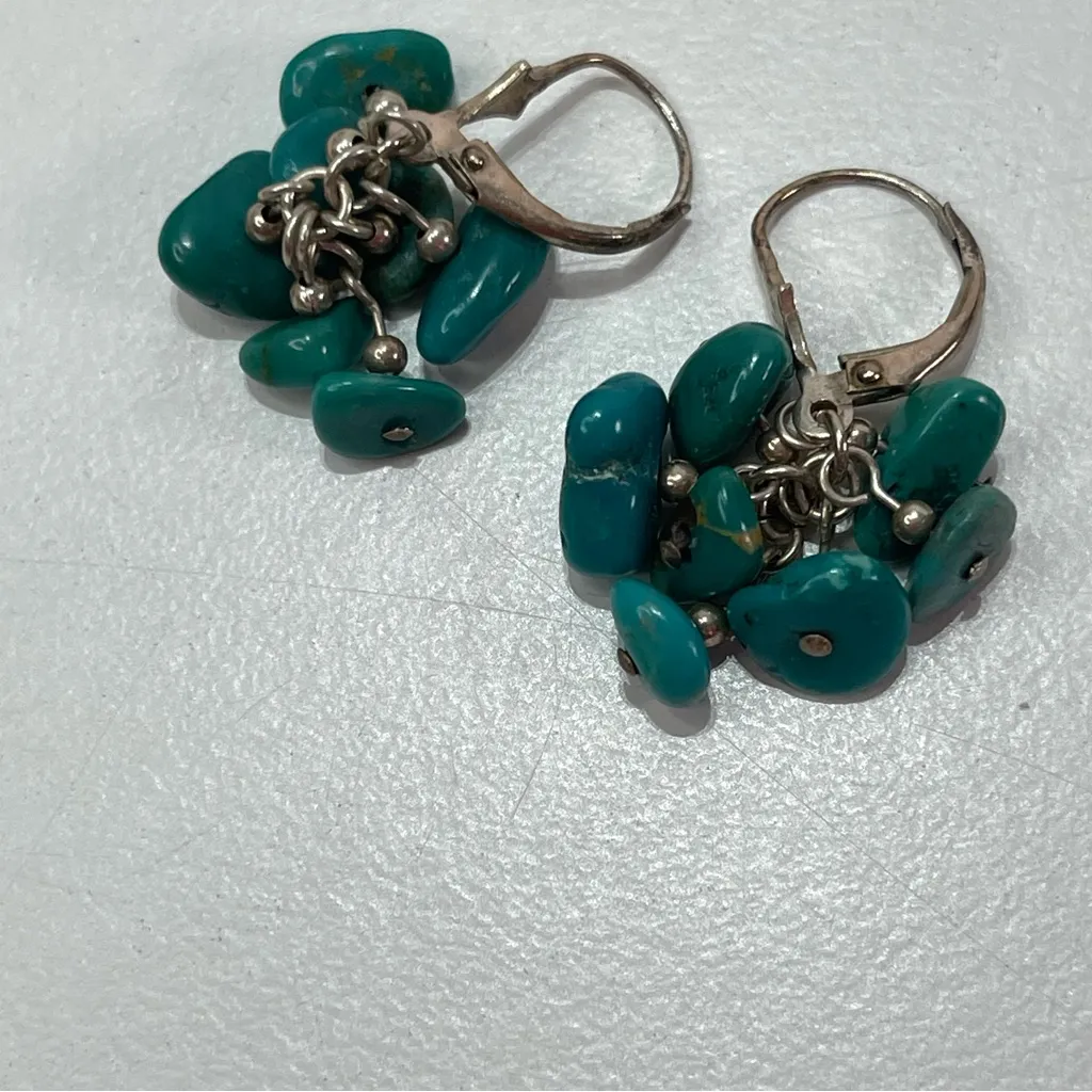Vtg Turquoise Dangle Earrings South Western National Wildlife Federation Case Blue - Image 5