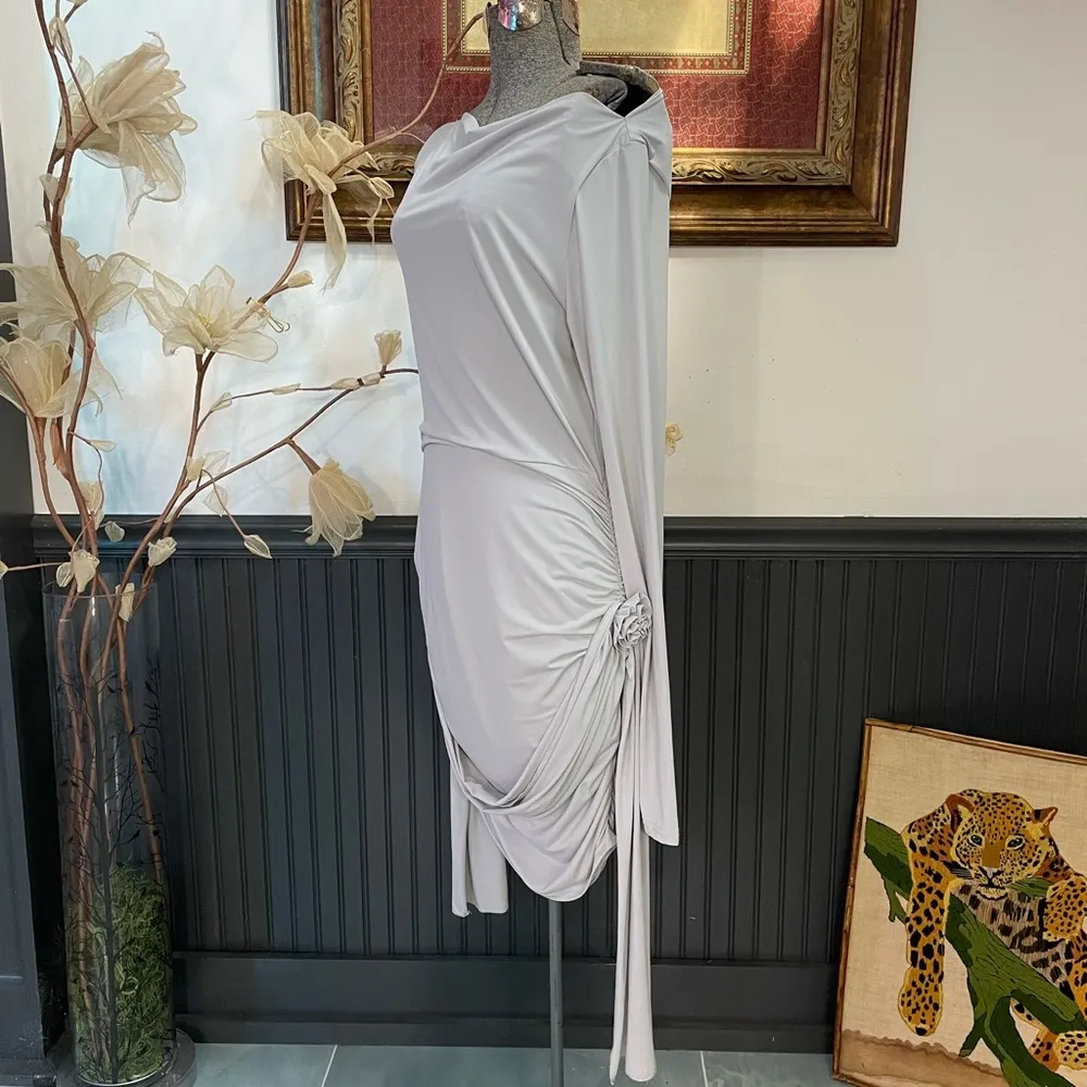 Lioness Glory Gray Long Sleeve Stretch Rose Detail Mini Dress - Sz XXL 💚🎀 - Image 6