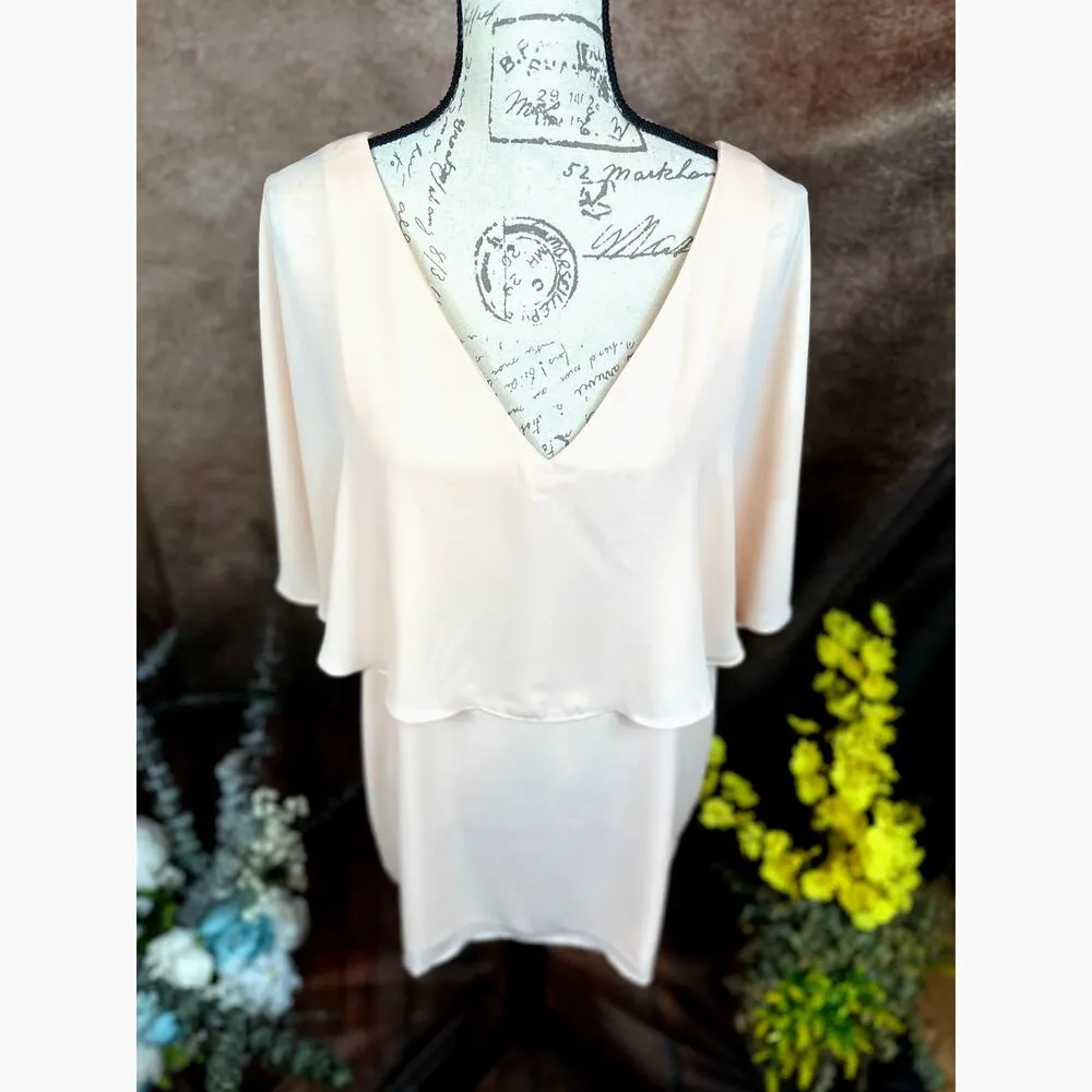 Three Eight Two V Neck Overlay Chiffon Mini Dress - Image 4