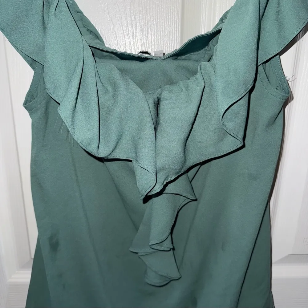 Small Naked Zebra Blouse - Image 2