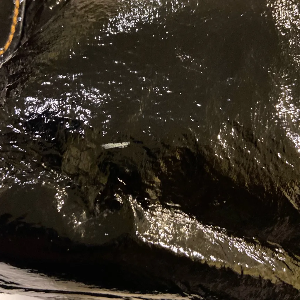 👜The SAK Hobo Bag - Image 4