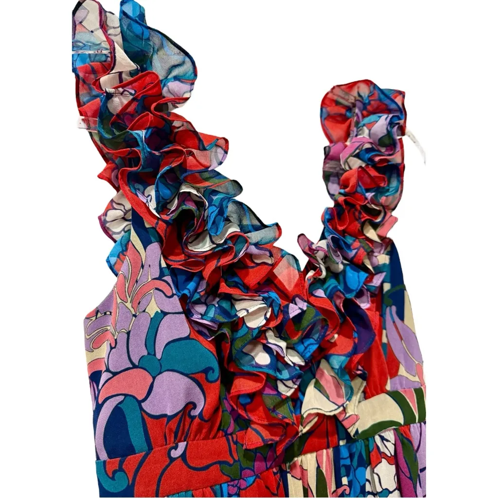 NWT TUCKERNUCK Climbing Cosmos Priscilla Floral Maxi Dress Rare Sample Piece - S - Image 3