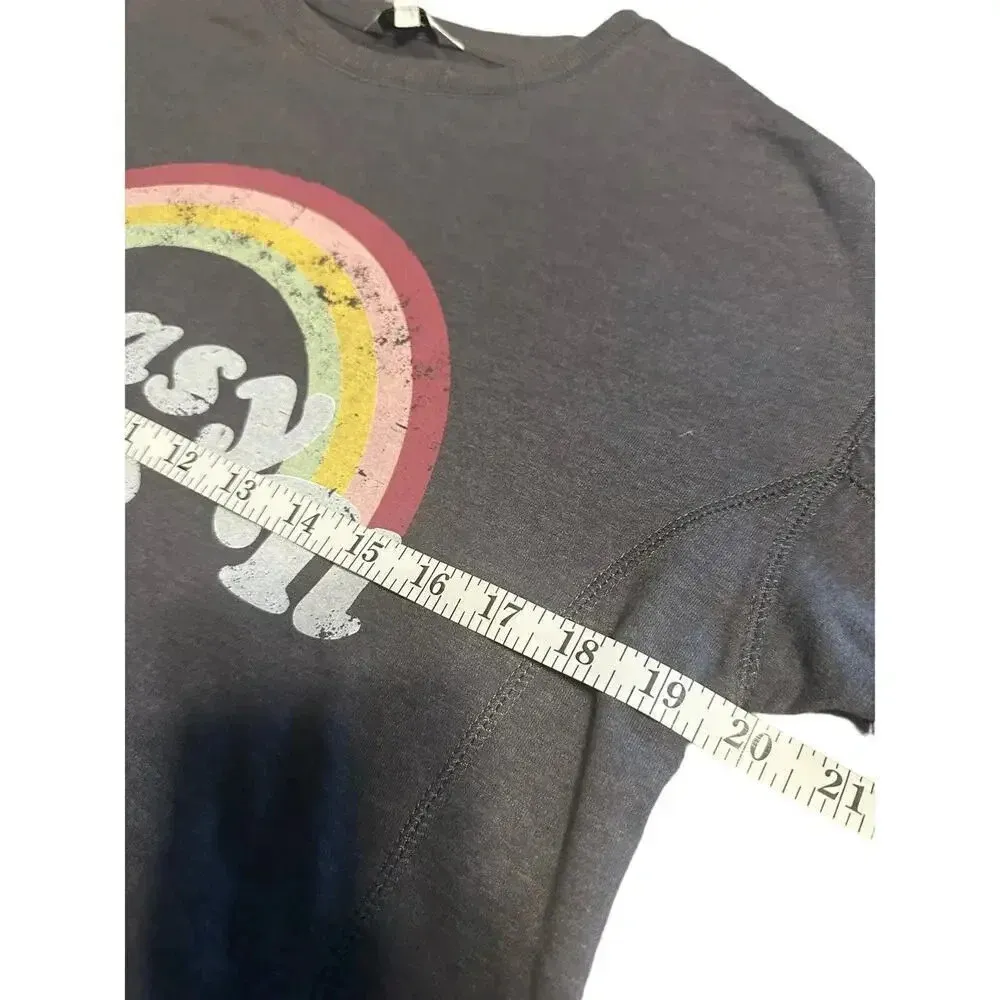 Wildfox Rainbow Lightweight Pullover Size XS Oversized Tunic NWT Crewneck Gray - Image 4