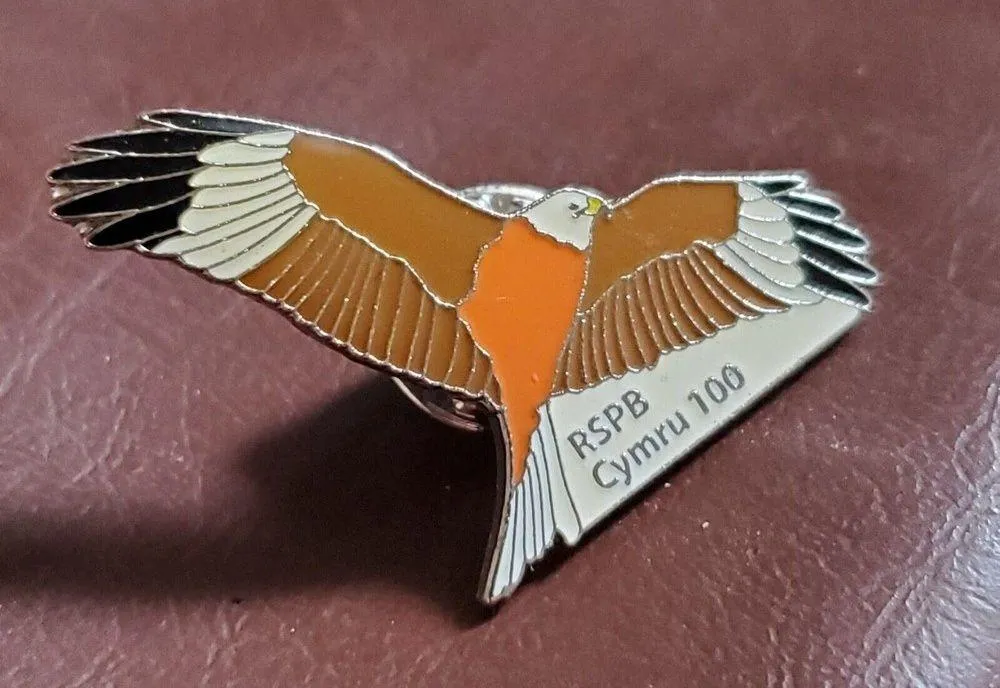 Vintage RSPB Cymru 100 Bird Wildlife Enamel Pinback Lapel Hat Pin Welsh Red Kite - Image 2