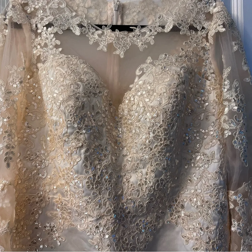 Elegant Cream Lace Dress - Image 4