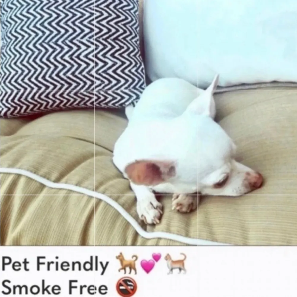 Betsey Johnson  fuchsia turquoise black plaid blanket scarf/pockets - Image 8