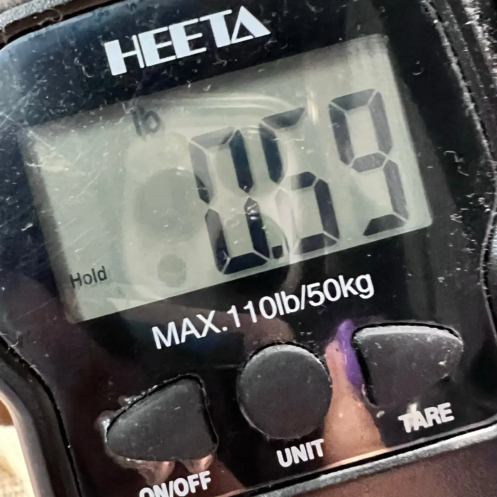 Evri Tee Top Womens 1X Black Crushed Velvet Short Sleeve Shirt Casual Whimsygoth - Image 14