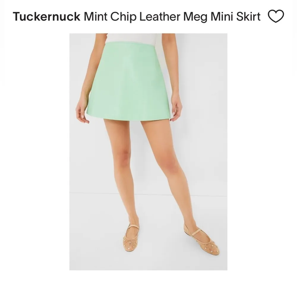 Tuckernuck Mint Chip Leather Meg Mini Skirt XXL - Image 2