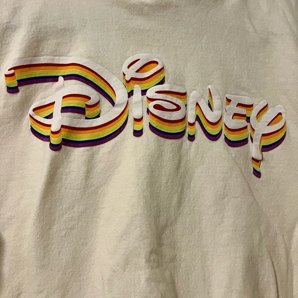 Disney Rainbow 80s Style Pride Hoodie Size P - Image 3