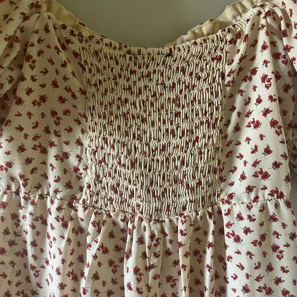 Trixxi Cream and Red Floral Mini Dress - Image 8
