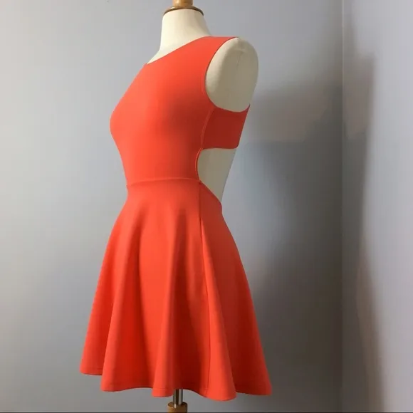 American Apparel Off the Shoulder Cross-back Dress - Image 2