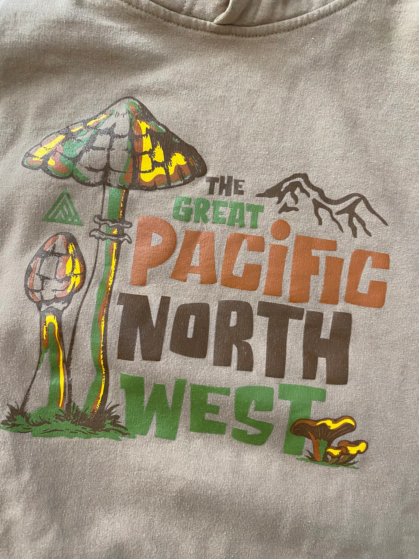 The Great Pacific Northwest Hoodie - Image 4