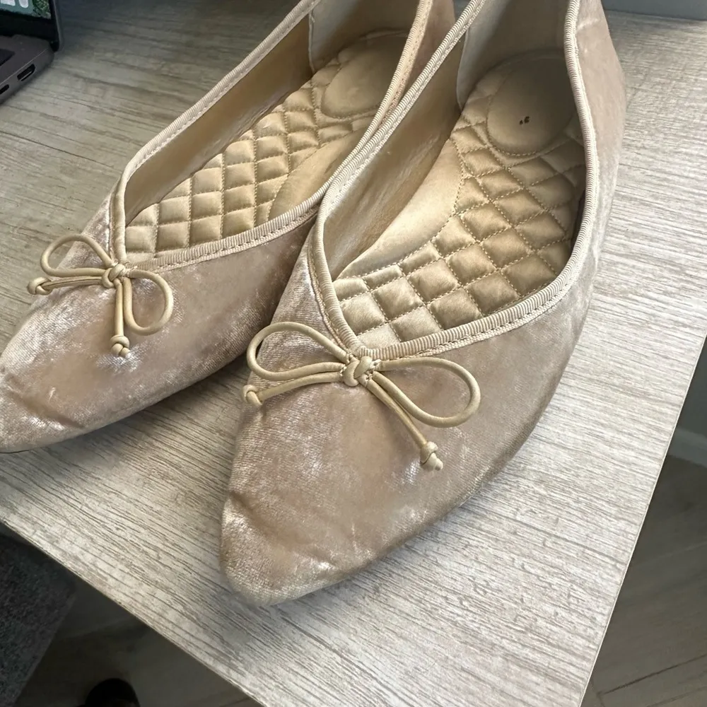 Birdies  Goldfinch Pointy Toe Ballet Flat Size 8 - Image 10