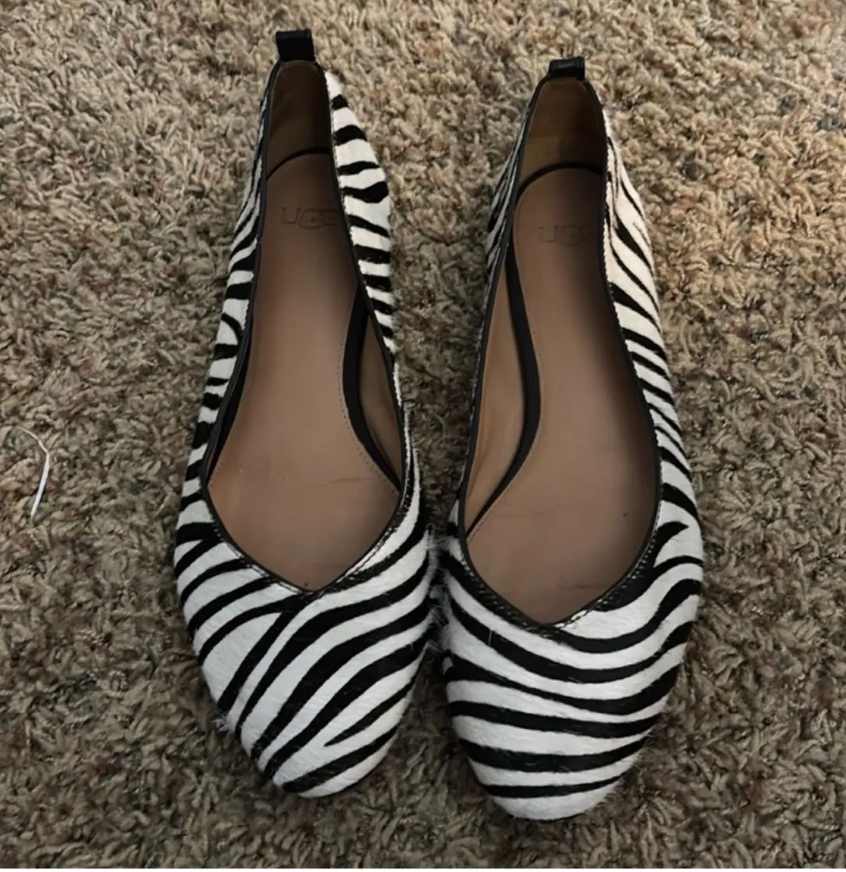 Zebra Flats - Image 2