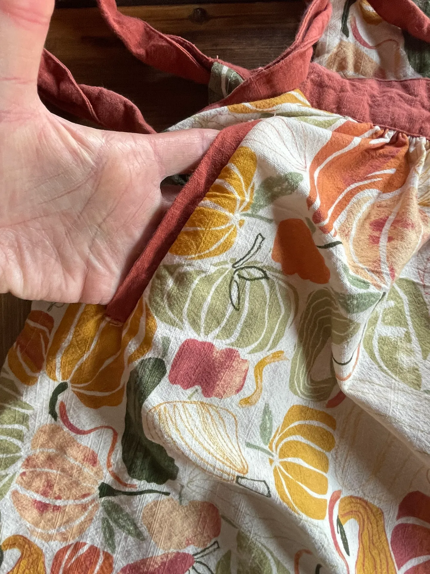 Anthropologie Apron - Image 3