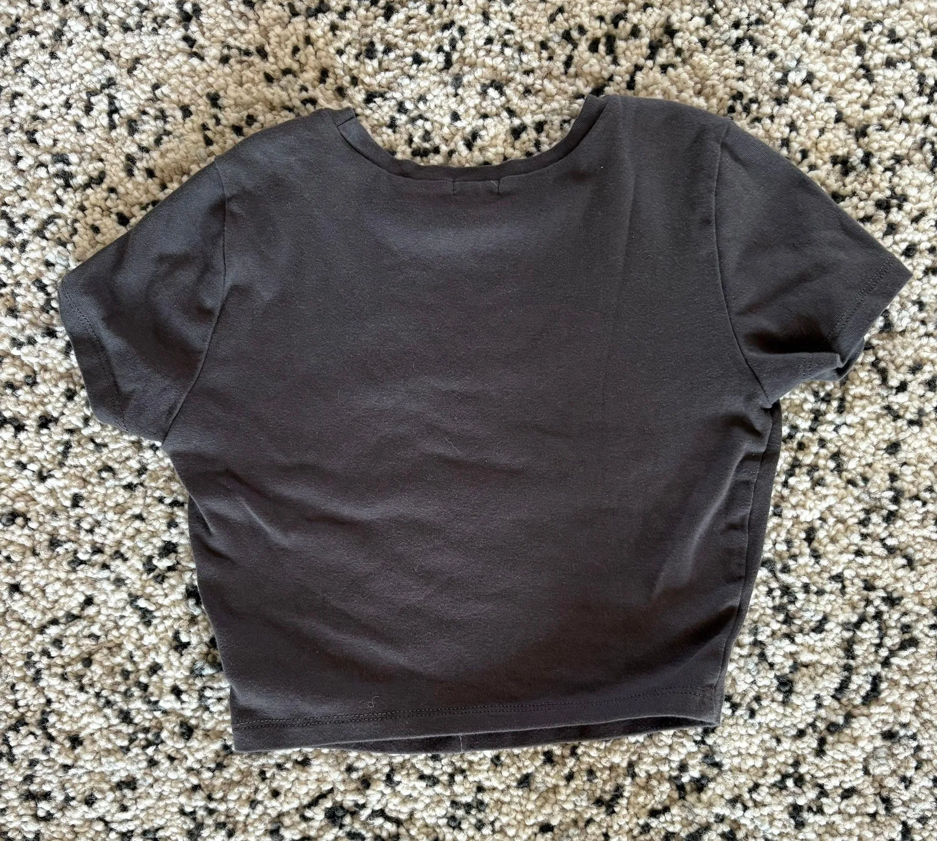 Swiss Alps Cropped T Shirt - Image 2