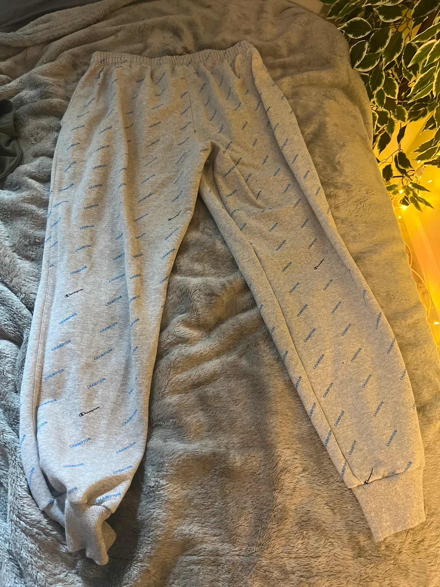 Champion Sweatpants - Image 2