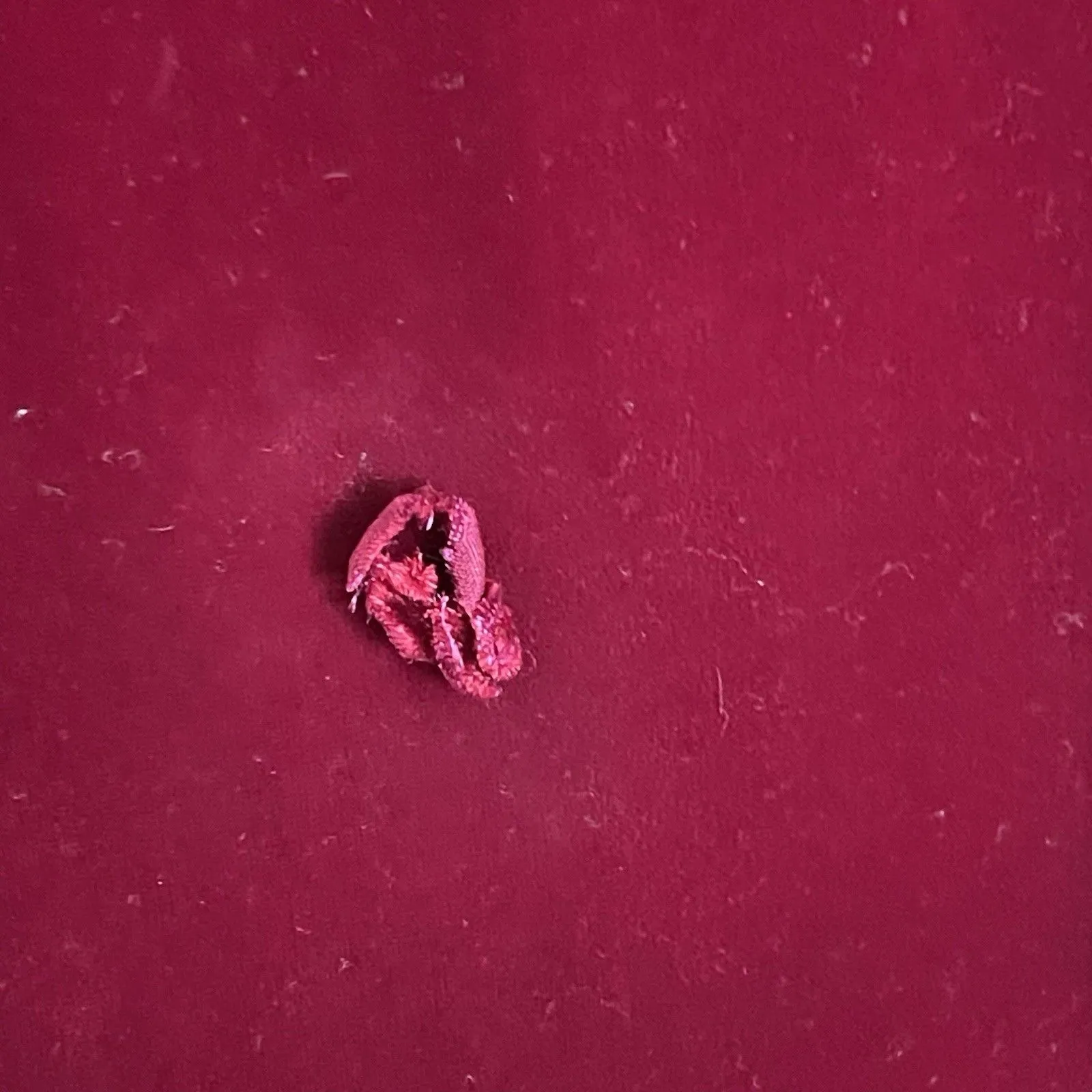 Vintage Y2k 90s Kathlin Argiro Atelier Dress Sz 4 Velvet Whimsigoth Vampy Goth Red - Image 11